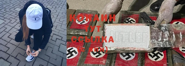 мяу мяу мука Магадан