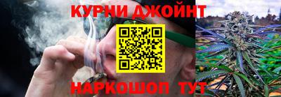 трава Кинель