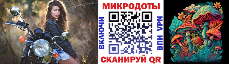 Псилоцибиновые грибы Cubensis  Мелеуз 