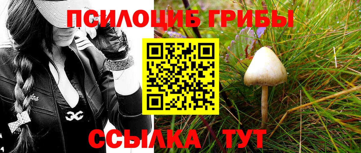 Псилоцибиновые грибы Psilocybine cubensis Мелеуз